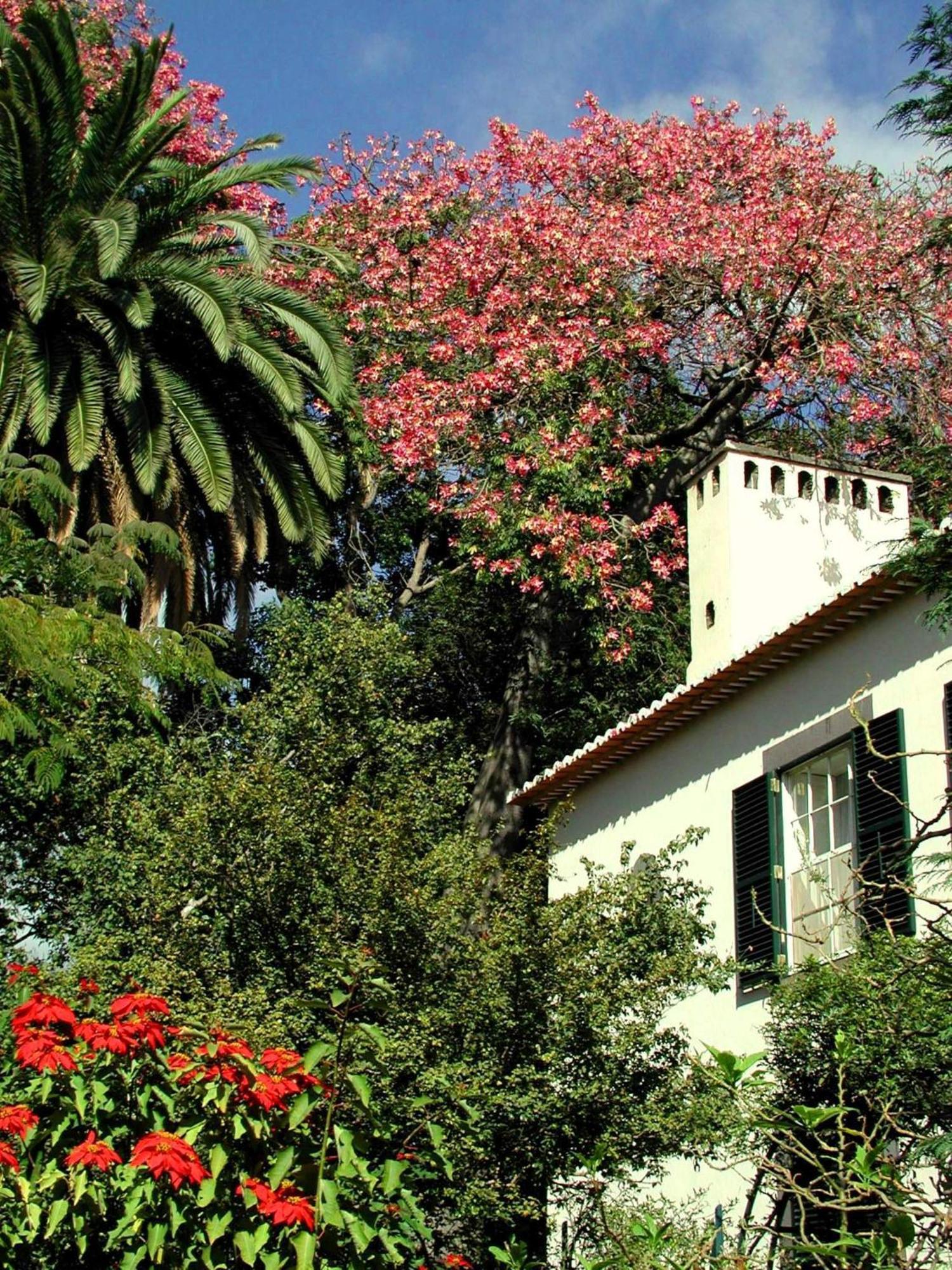 Hotel Quinta da Bela Vista Funchal  Esterno foto